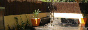 Proyecto Patio