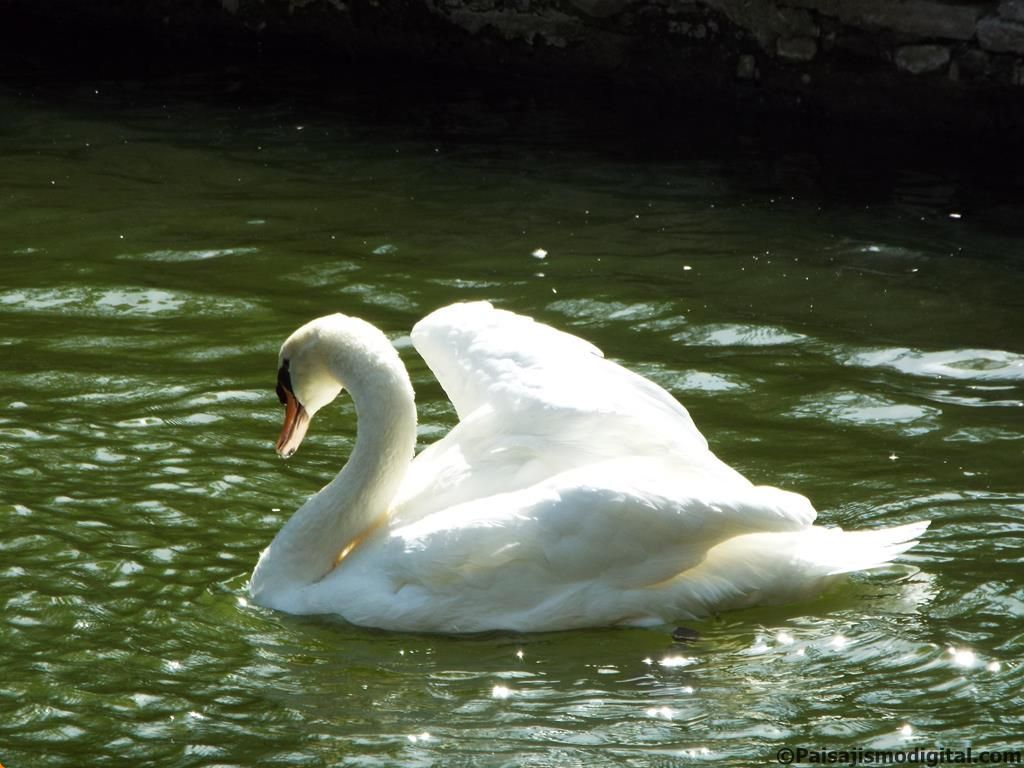 Parque de María Luisa de Sevilla
