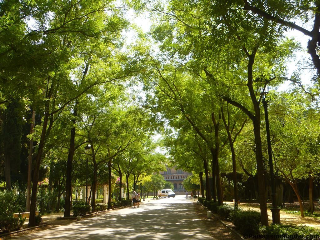 Parque de María Luisa de Sevilla