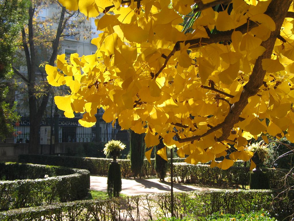 Jardín Botánico de Granada