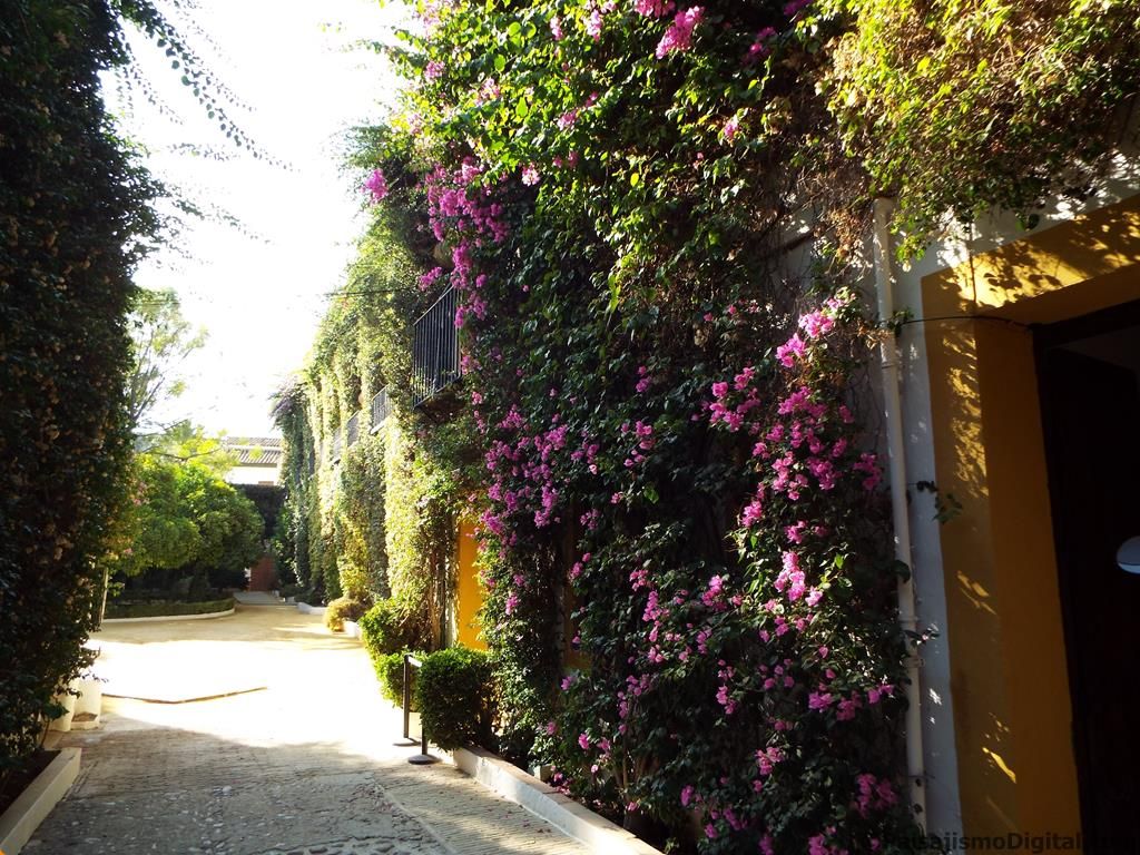 jardín de costa jardín de costa