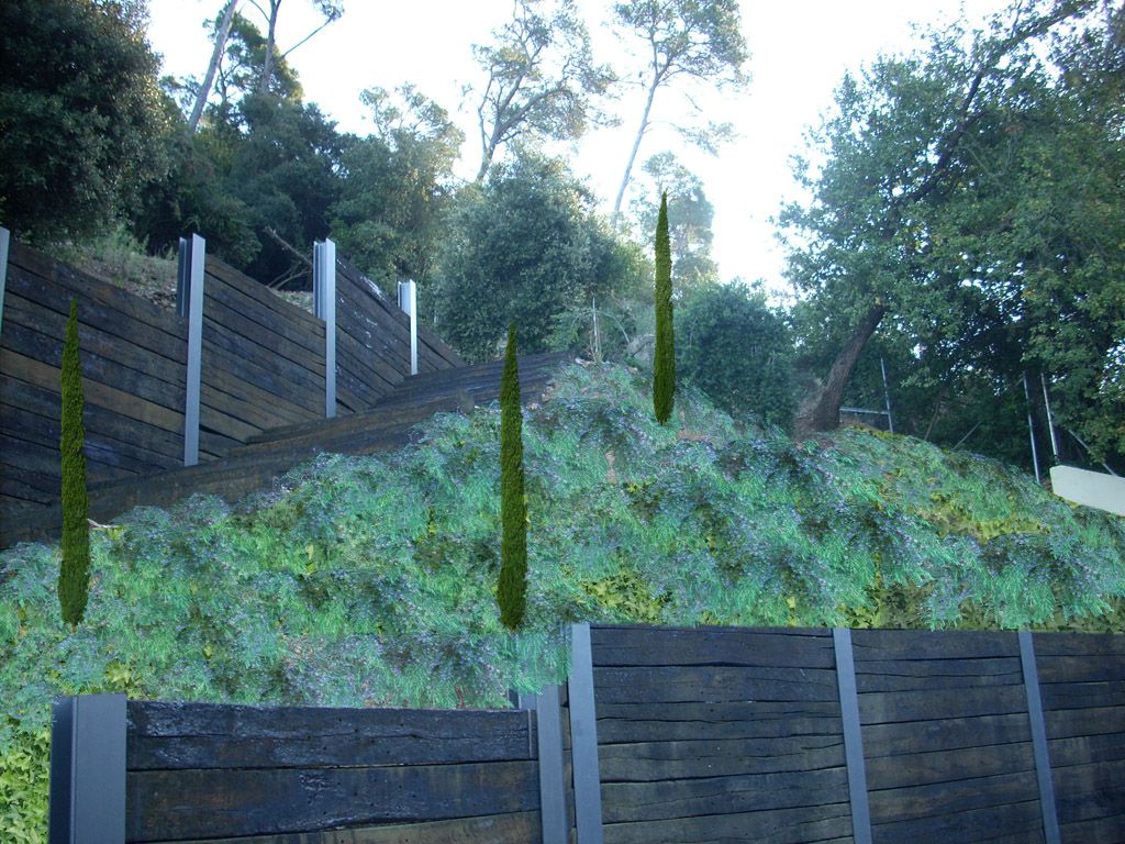 el ahorro de agua al diseñar un jardín el ahorro de agua al diseñar un jardín