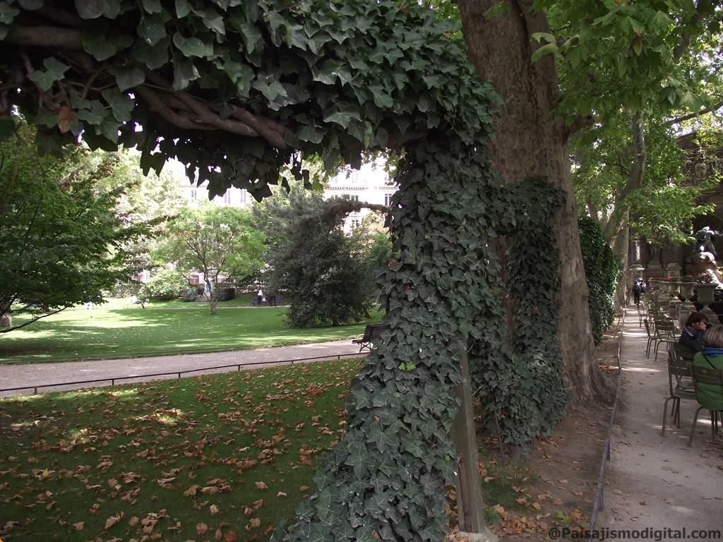crear un jardín