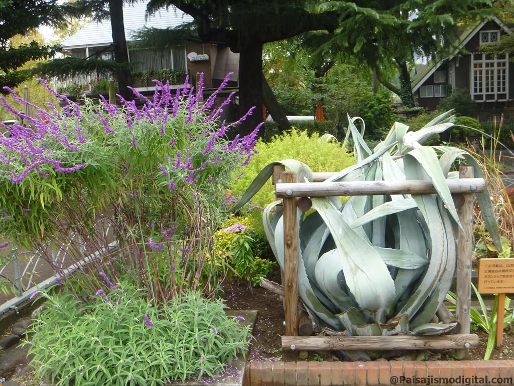 crear un jardín