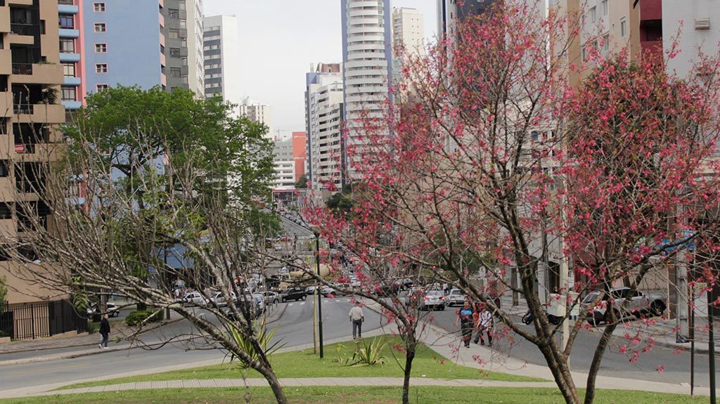 Curitiba