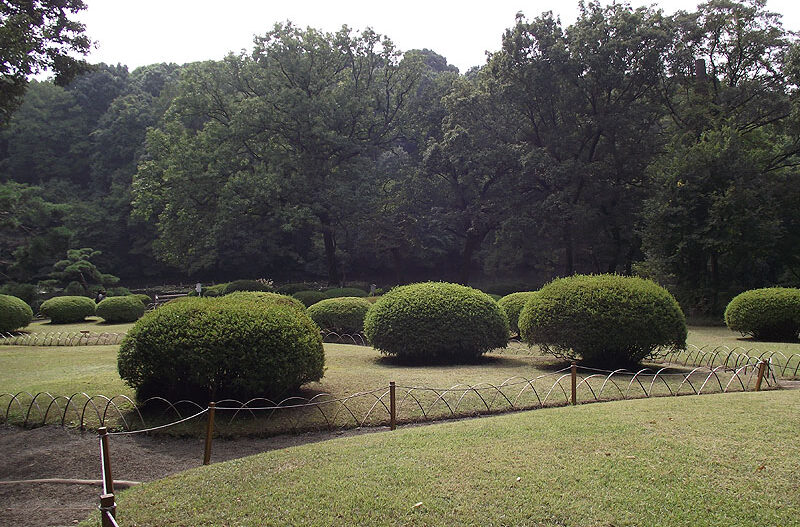 jardin feng shui