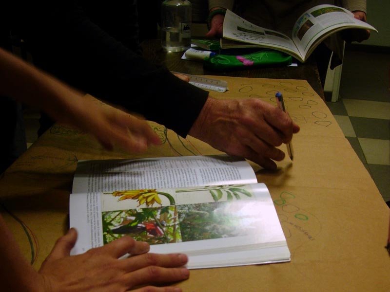 Curso Diseño de Espacios Verdes Sustentables con Plantas Nativas