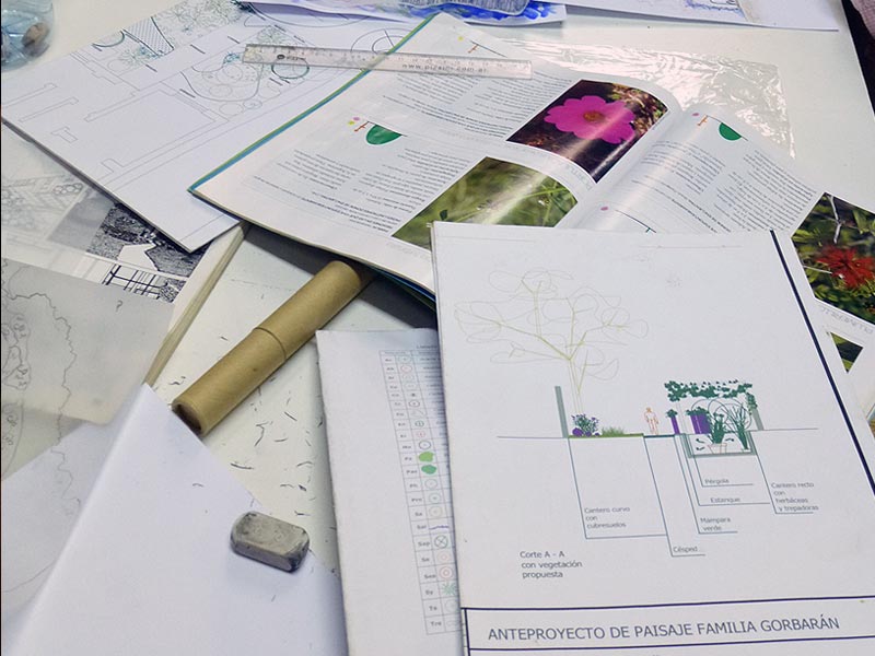 Curso Diseño de Espacios Verdes Sustentables con Plantas Nativas