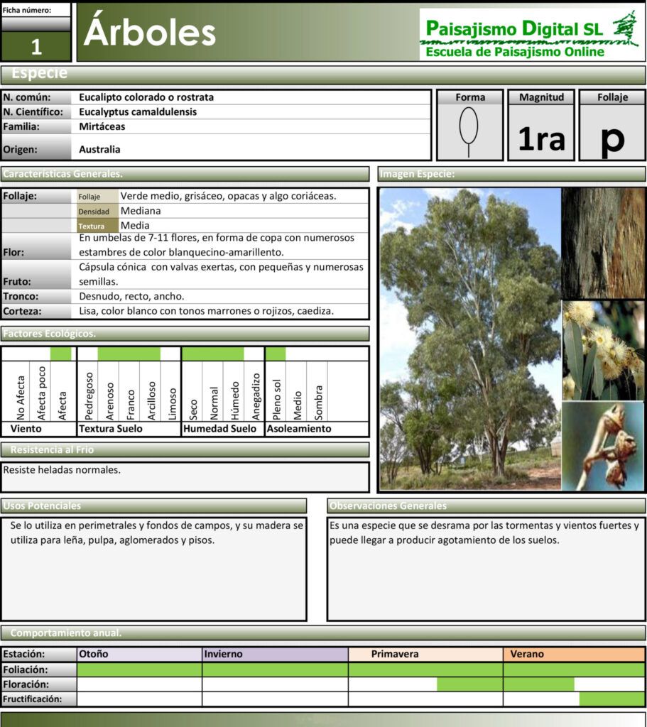 escuela online de paisajismo digital