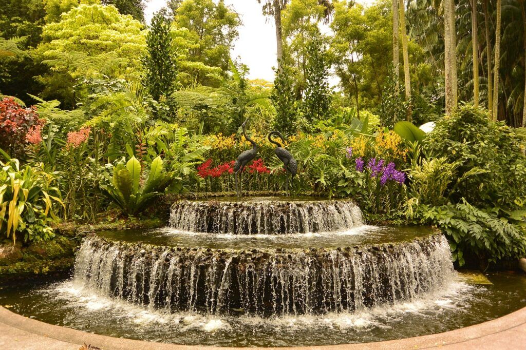 Jardín Botánico de Singapur