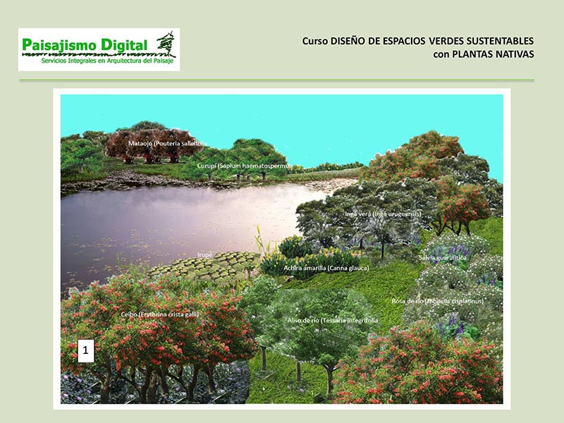 diseño de espacios verdes sustentables