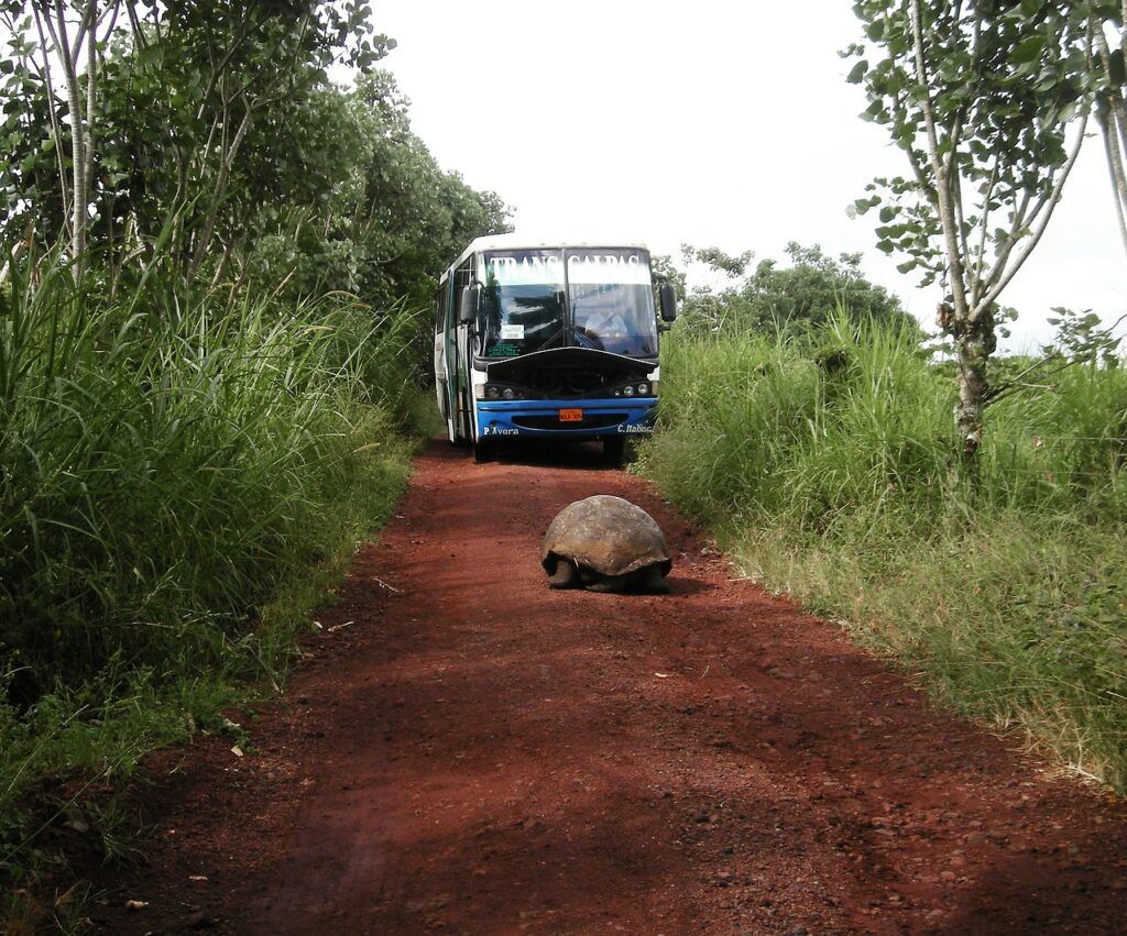 Galápagos