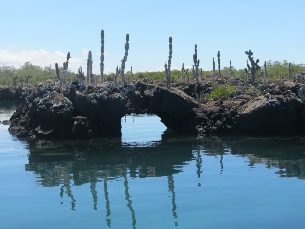 Galápagos