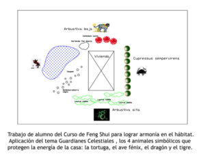 curso feng shui