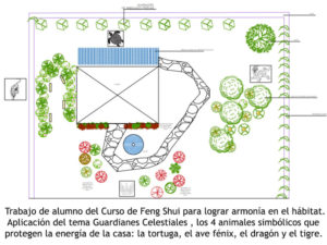 curso feng shui