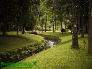 curso fotografia exteriores