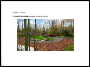 curso feng shui
