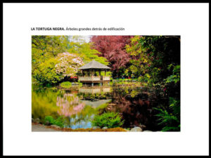 curso feng shui