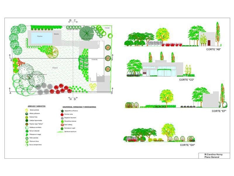 Curso Autocad BÁsico Para Paisajistas Paisajismo Digital Servicios