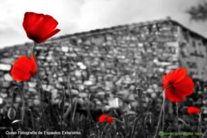 curso fotografia exteriores