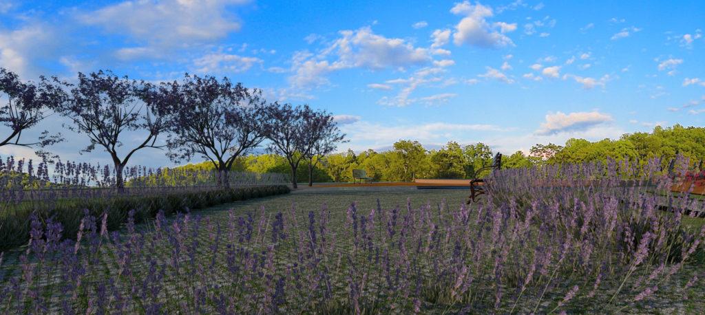 Finca rural - Lands Design