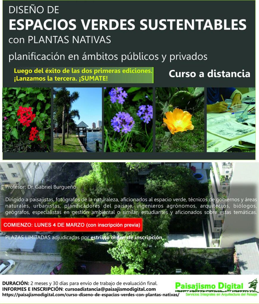plantas nativas