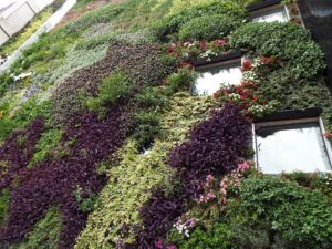 jardín vertical