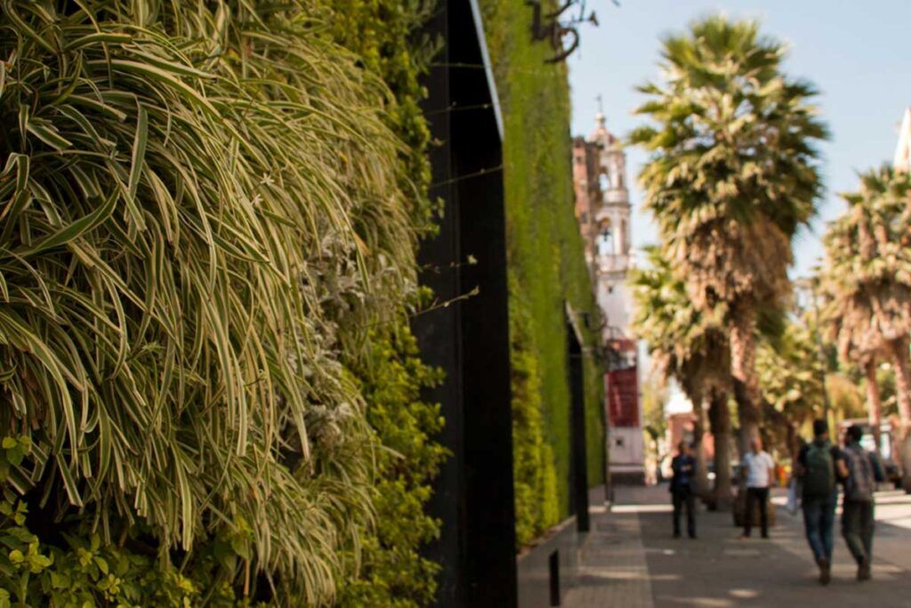 Los 10 jardines verticales más impresionantes del mundo (Jardín vertical de la Universidad del Claustro de Sor Juana en México) Los 10 jardines verticales más impresionantes del mundo (Jardín vertical de la Universidad del Claustro de Sor Juana en México)