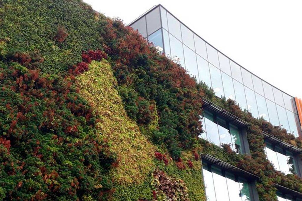Importancia de las plantas nativas como recursos para la construcción de jardines verticales
