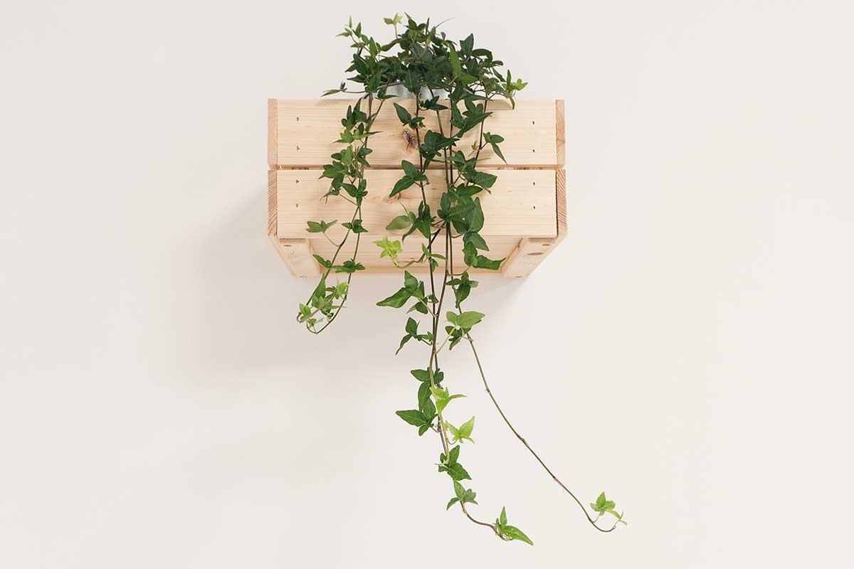 10 consejos prácticos para crear un jardín vertical en casa 10 consejos prácticos para crear un jardín vertical en casa