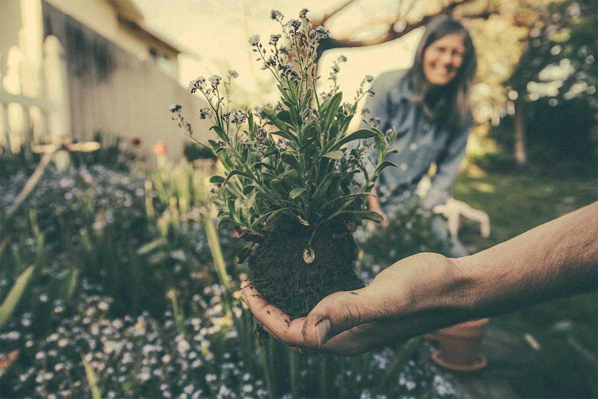 10 consejos prácticos para crear un jardín vertical en casa 10 consejos prácticos para crear un jardín vertical en casa