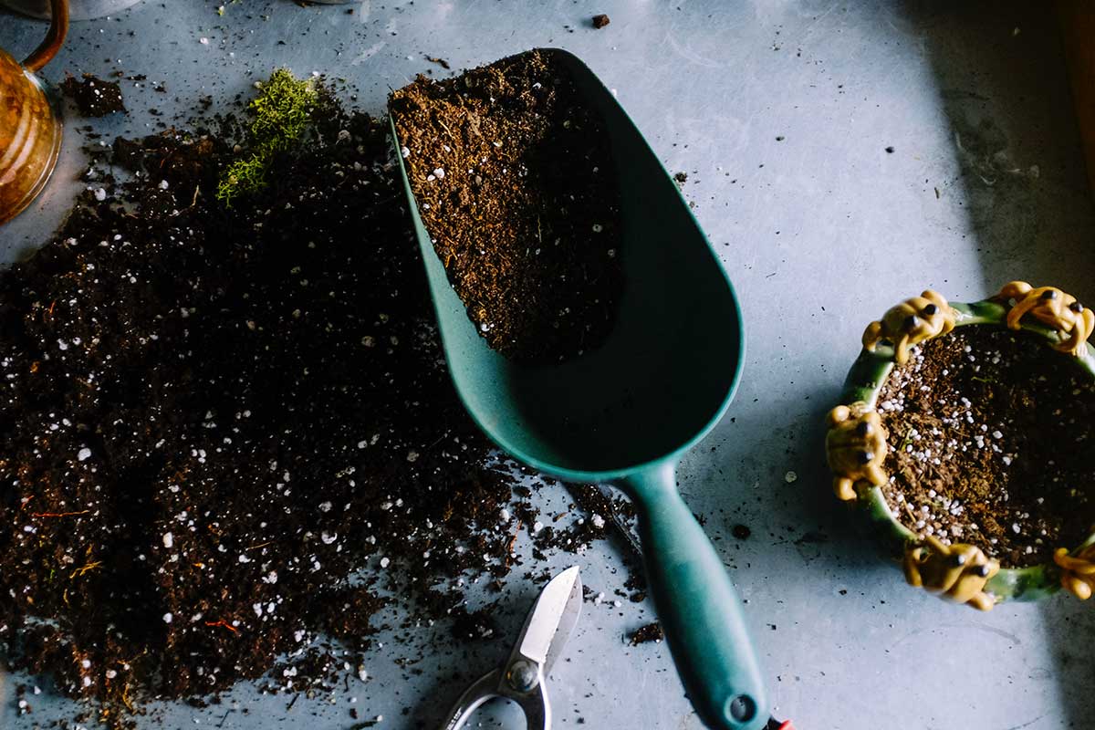 10 consejos prácticos para crear un jardín vertical en casa 10 consejos prácticos para crear un jardín vertical en casa