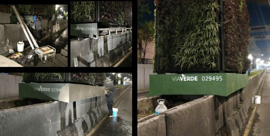 Vía Verde: Oxígeno para la CDMX con jardines verticales 3 Vía Verde: Oxígeno para la CDMX con jardines verticales
