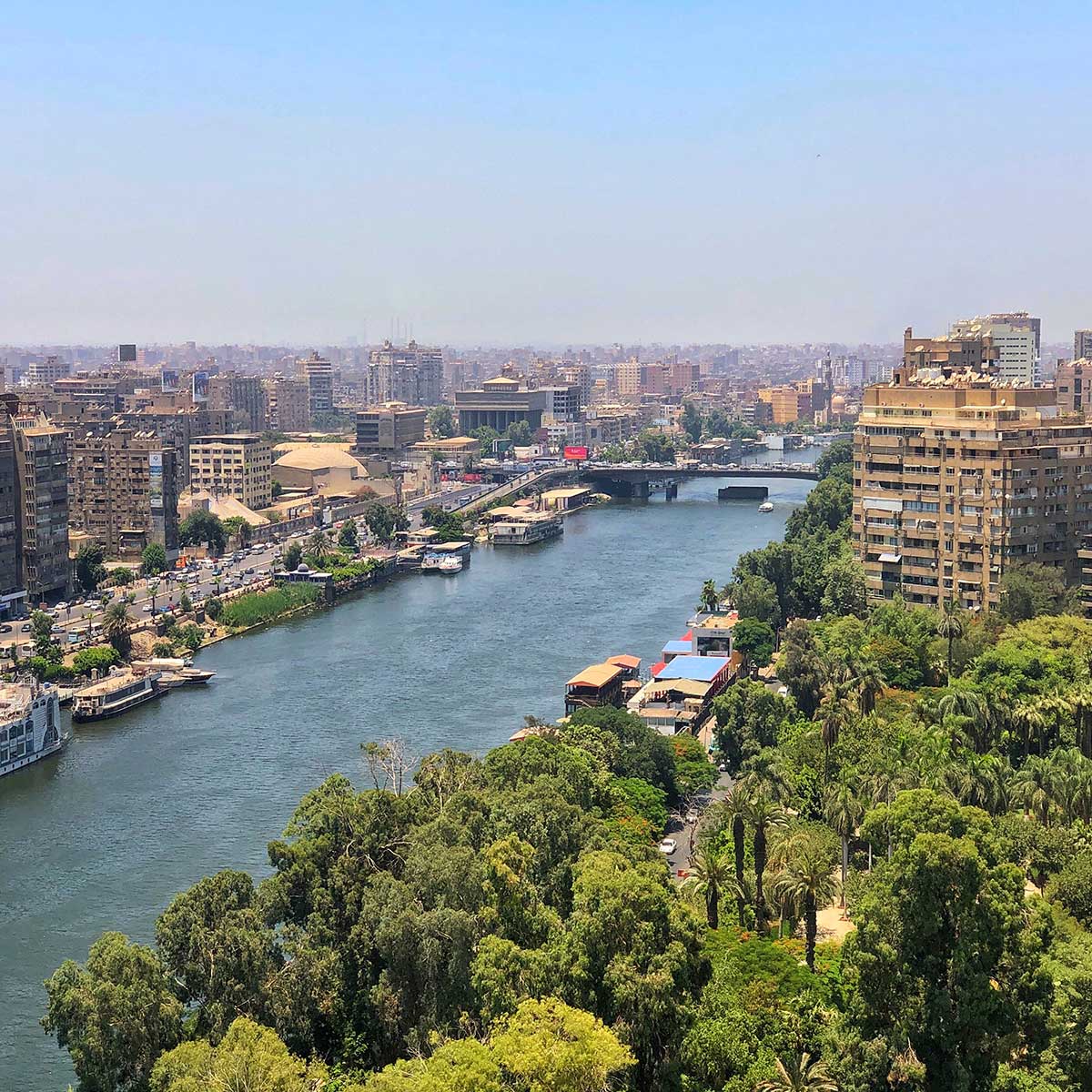 Techos verdes y jardines verticales: el antídoto a la contaminación de El Cairo Techos verdes y jardines verticales: el antídoto a la contaminación de El Cairo
