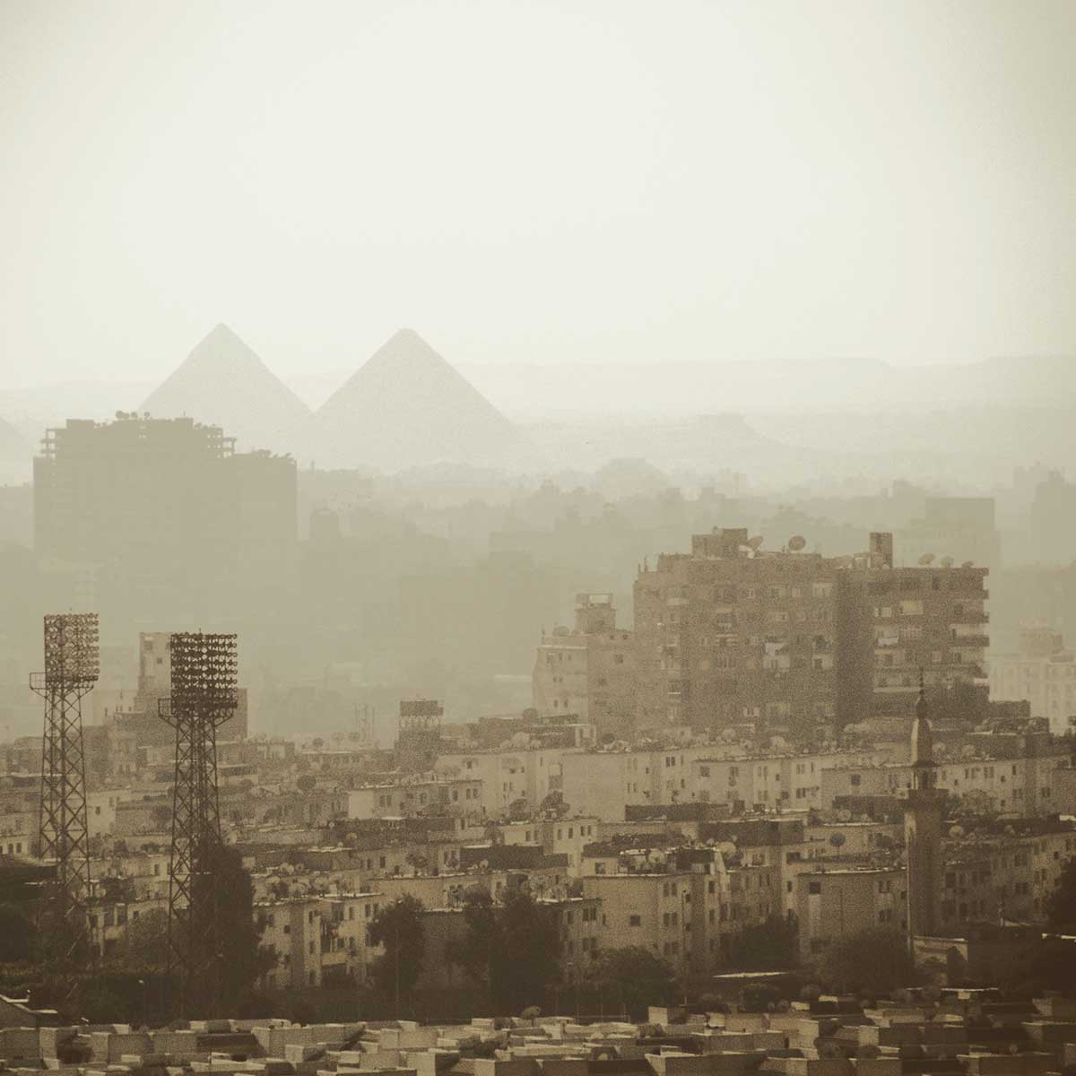 Techos verdes y jardines verticales: el antídoto a la contaminación de El Cairo Techos verdes y jardines verticales: el antídoto a la contaminación de El Cairo