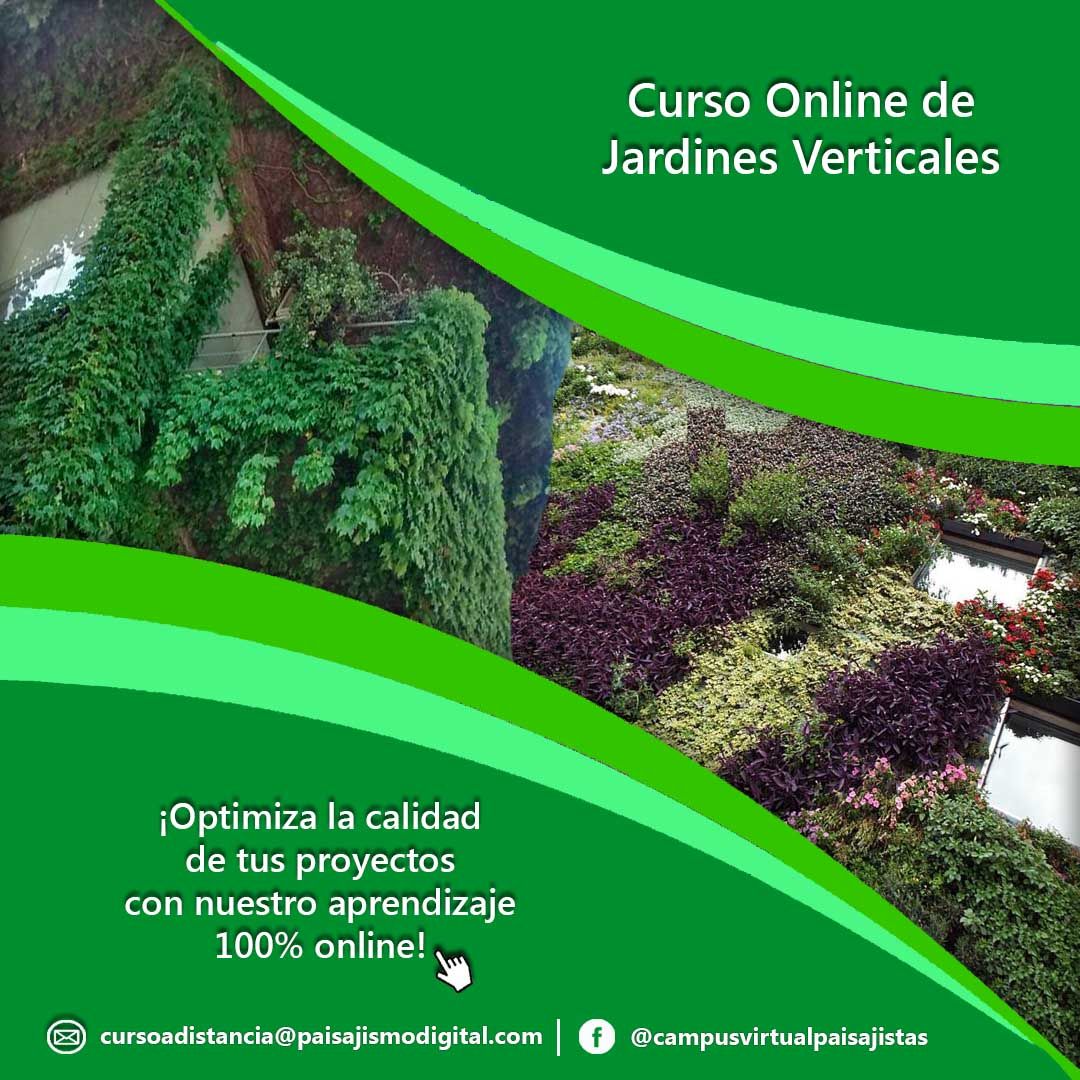 Curso Online de Jardines Verticales 4 Curso Online de Jardines Verticales 4