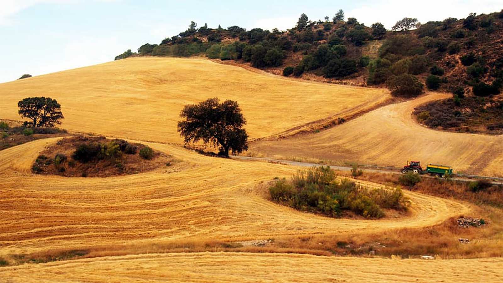 La revolución verde andaluza. Paisaje andaluz Paisaje andaluz