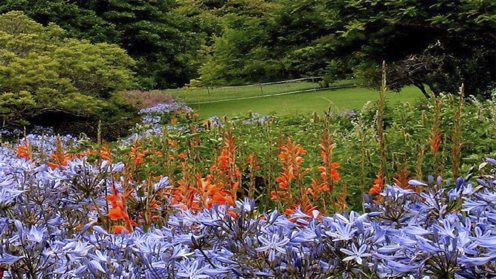 Jardín Botánico Nacional de Kirstenbosch 6 Jardín Botánico Nacional de Kirstenbosch 6