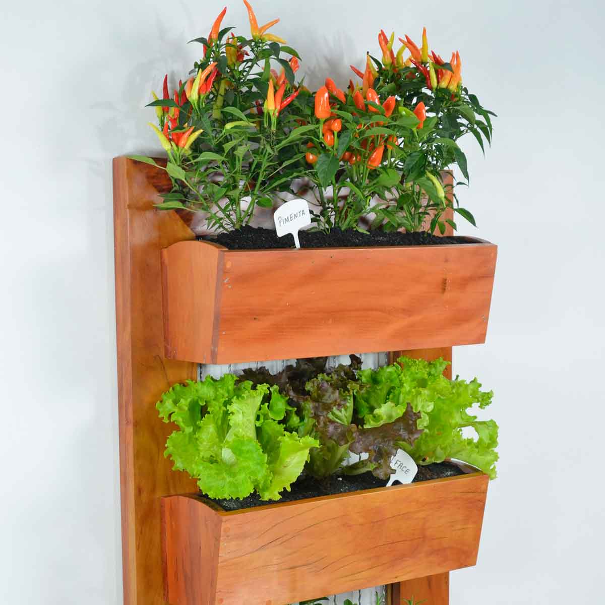 Tendencias de jardines verticales para interiores y exteriores con sistema de plug-in Tendencias de jardines verticales para interiores y exteriores con sistema de plug-in