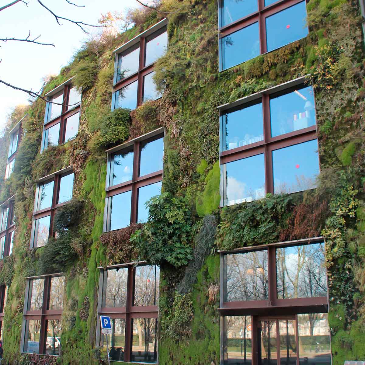 Tendencias de jardines verticales para interiores y exteriores con soporte de sustrato Tendencias de jardines verticales para interiores y exteriores con soporte de sustrato