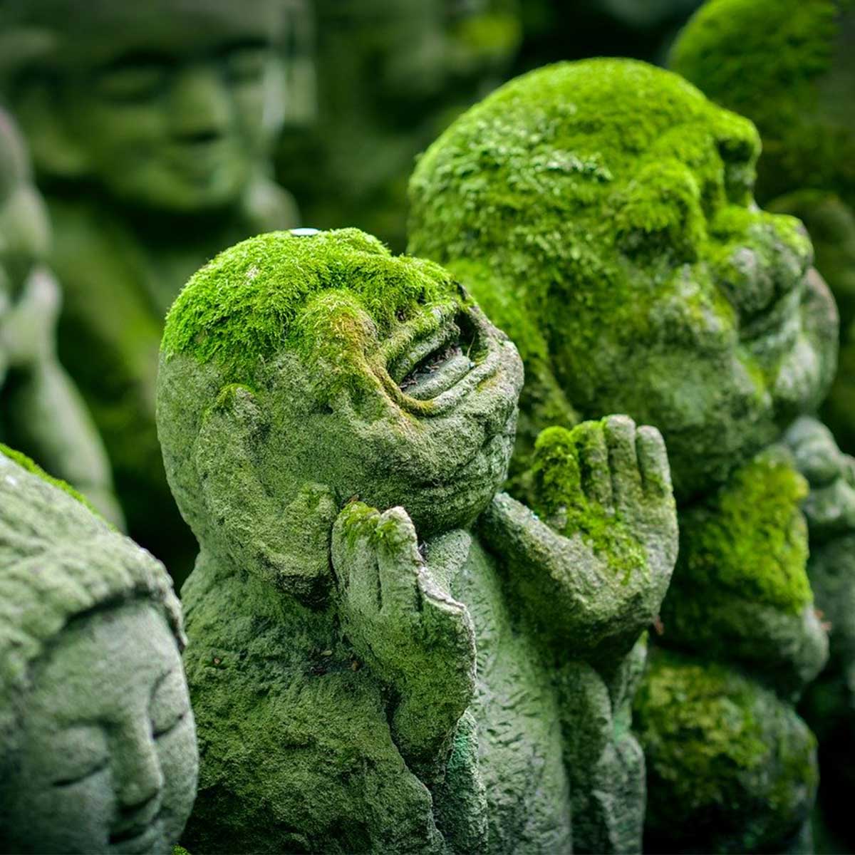 Jardín zen: cómo crearlo, tips y recomendaciones