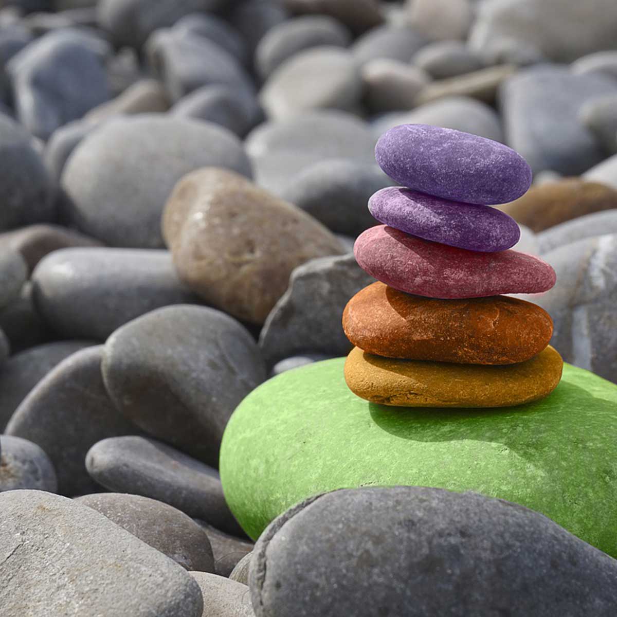 Jardín zen: cómo crearlo, tips y recomendaciones