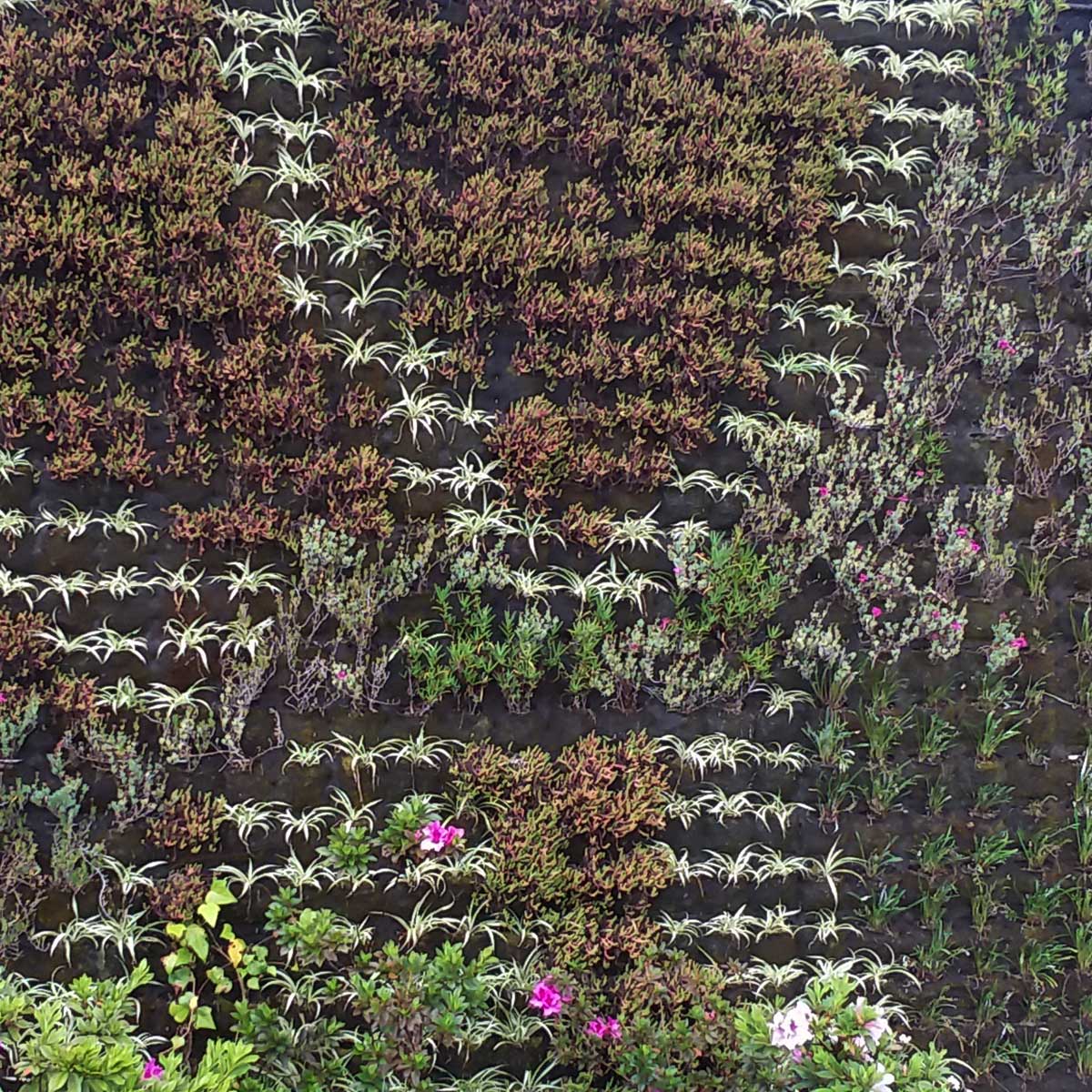 Jardines verticales de Latinoamérica: un repaso al diseño innovador