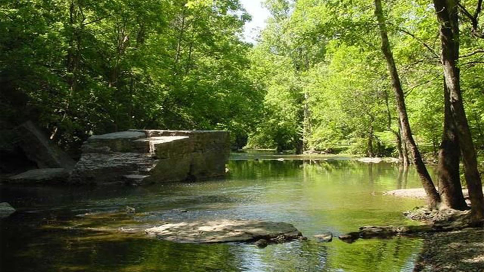 Frederick Law Olmsted Prospect Park Prospect Park de Nueva York