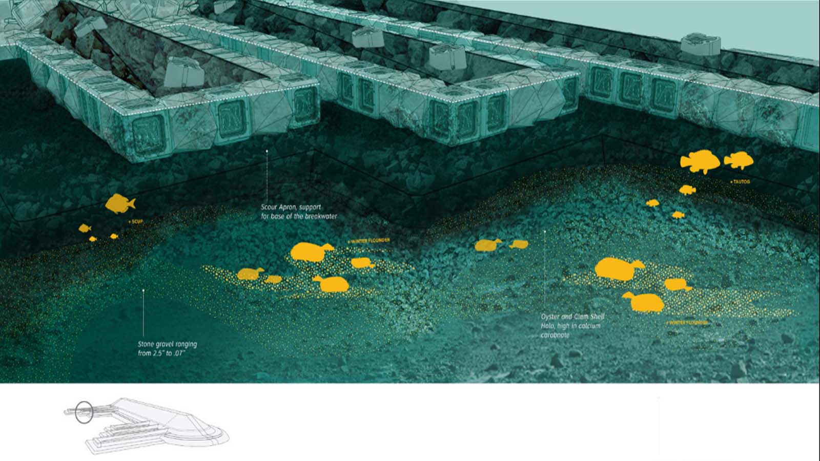 Living Breakwaters de Kate Orff Proyecto Living Breakwaters