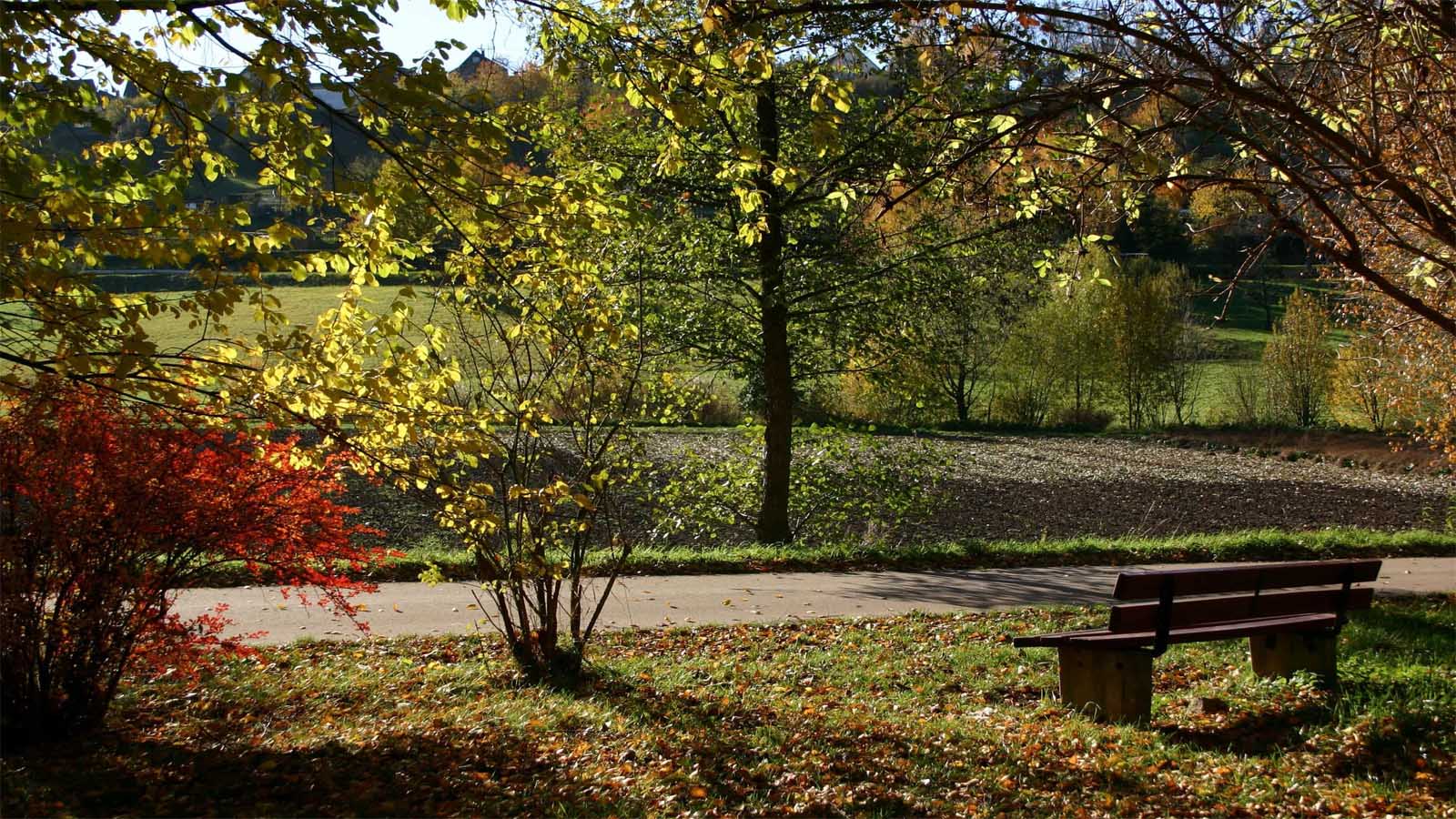 Jardín en otoño Jardines en otoño