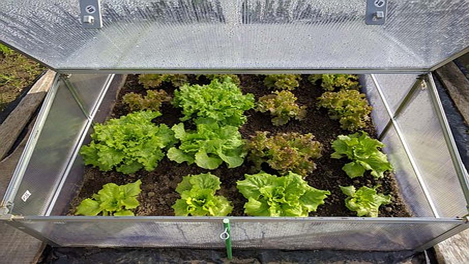 Jardín en temporada invernal - Invernaderos caseros Invernaderos caseros