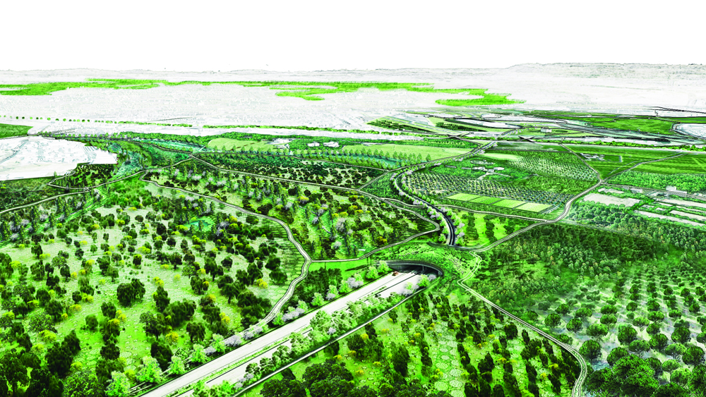 Los tres bosques del suroeste - Vista general y Ecoconector Los tres bosques del suroeste - Vista general y Ecoconector