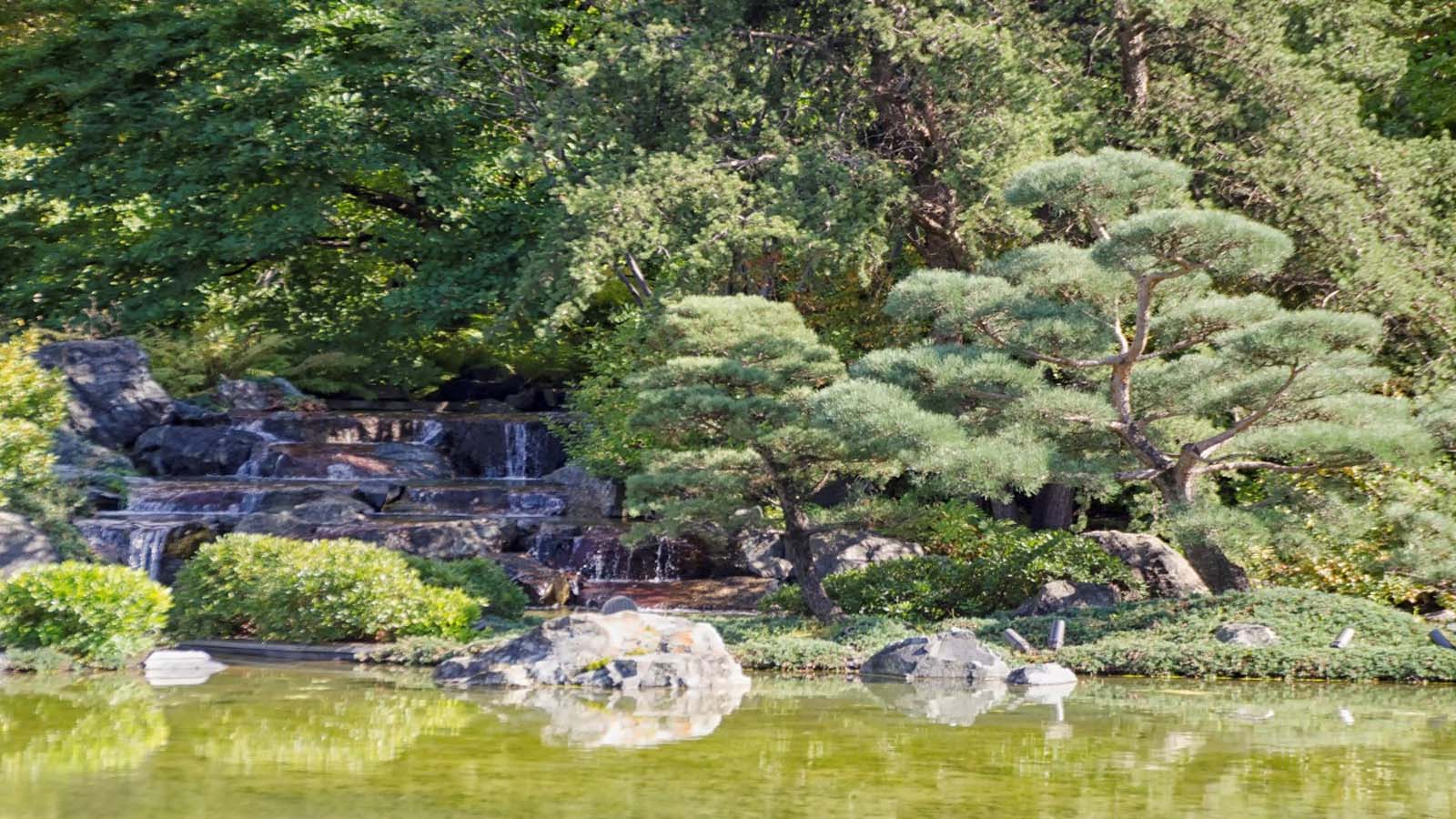 Jardín Botánico de Montreal 4 Jardín Botánico de Montreal 4