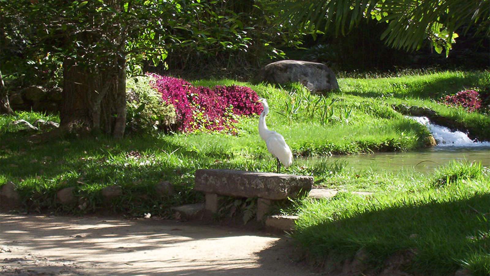Animales en el Jardín de Río